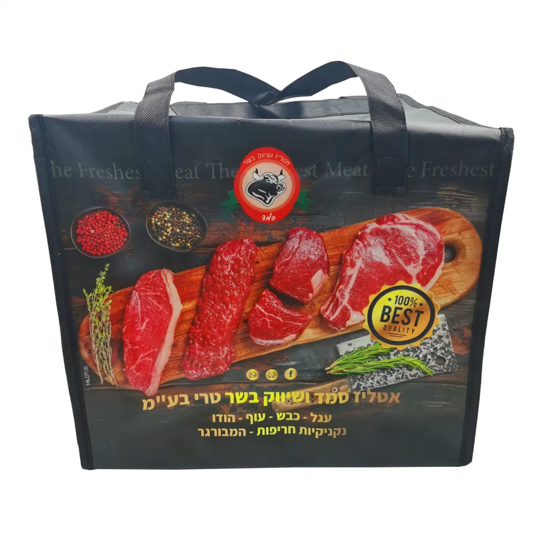 Promotional Kids 6 Can Ice Cool Bag Custom Printed Food Cooling Bag Small Non-Woven Picnic Lunch Tote Bag Large Thermal Insulated Grocery Shopping Cooler Bags