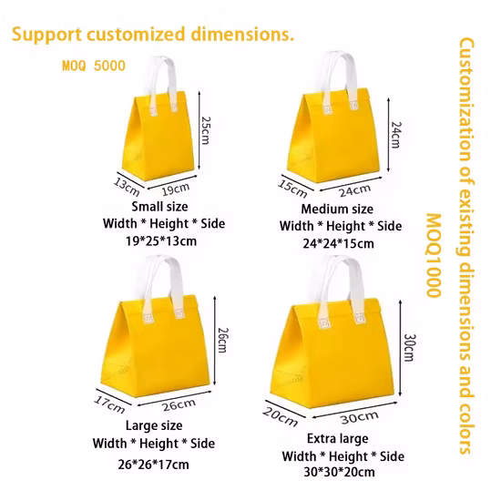 カスタマイズされた缶オーガナイザークーラーボックス食品配達バッグ非