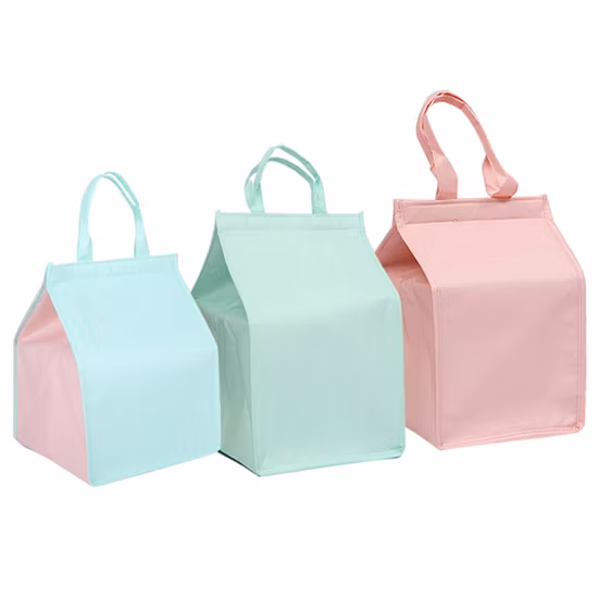 カスタム 6 パック不織布断熱サーマル ランチ クーラー バッグ卸売中国製造